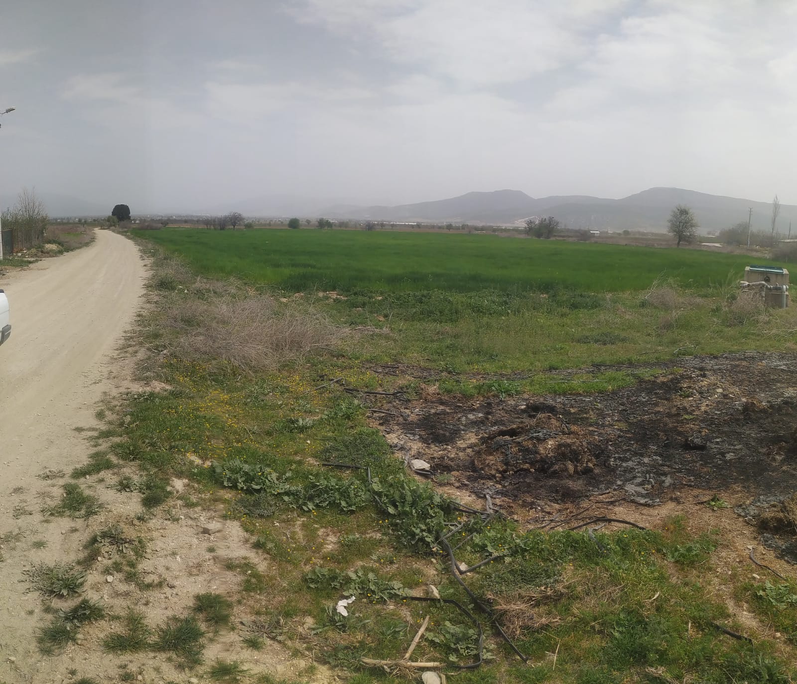 KORKUTELİ YEŞİLYAYLA’DA 30 DÖNÜM SATILIK TARLA